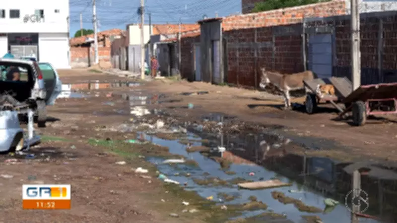 Vídeos GR1: Destaques da terça-feira, 5 de maio de 2026 em Petrolina