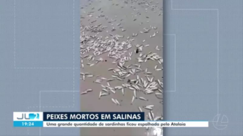 Vídeos JL2: Destaques do Pará neste sábado, 9 de maio de 2026