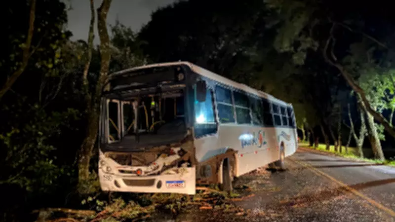 Vento forte derruba árvore sobre ônibus na ERS-409 em Vera Cruz e bloqueia rodovia