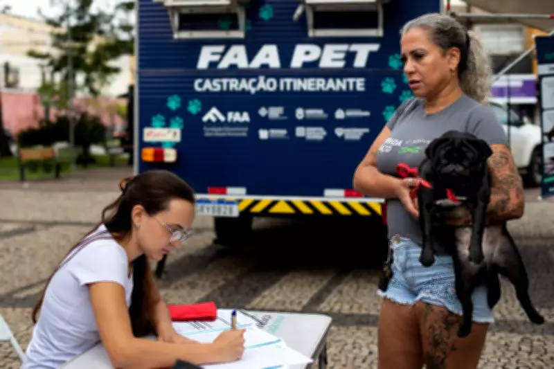 Volta Redonda abre 260 vagas para castração gratuita de cães e gatos