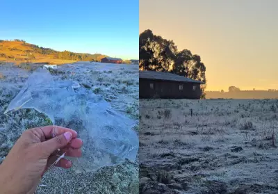 Amanhecer com -4,22°C forma placas de gelo em São Joaquim, SC
