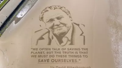Aos 100 anos, David Attenborough lança documentário emocionante sobre gorilas