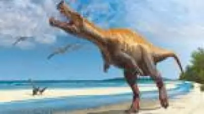 Após décadas, fóssil de dinossauro Irritator challengeri retorna ao Ceará