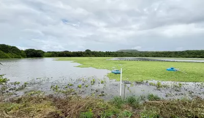 Açude do Xaréu transborda em Fernando de Noronha após fortes chuvas