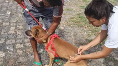 Campanha de vacinação antirrábica começa neste sábado em Teresina