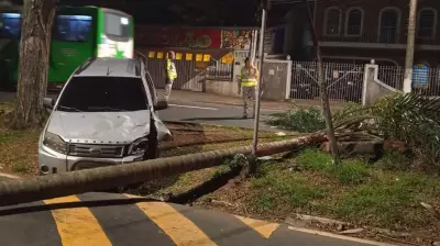 Carro colide contra árvore e interdita avenida em Campinas no sábado