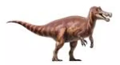 Crânio de dinossauro Irritator challengeri repatriado da Alemanha ao Brasil