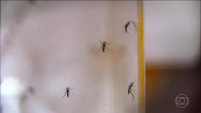 Dengue volta a preocupar Goiás e Tocantins com explosão de casos graves