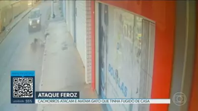 DF2 destaca acidente no Eixão e obras no Mané Garrincha