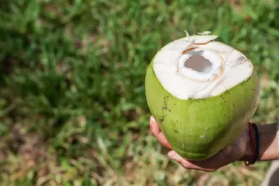 Água de coco pode substituir isotônico? Veja quando usar cada um