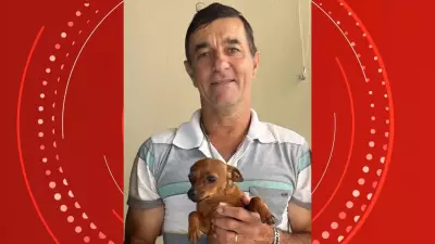 Homem é espancado após atropelar cavalo e filha diz que ele 'está vivo por milagre'