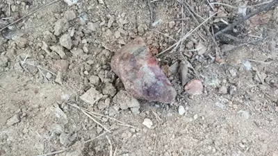 Homem morre após ser atingido por pedrada ao brincar com filho de suspeito