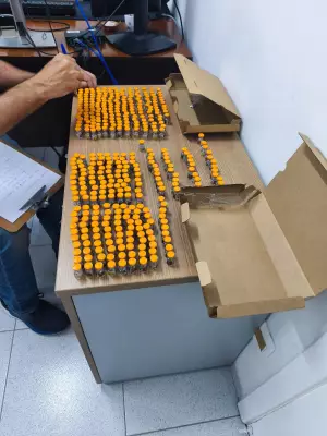 Homem é preso com 466 ampolas de medicamento contrabandeado do Paraguai em Caçapava