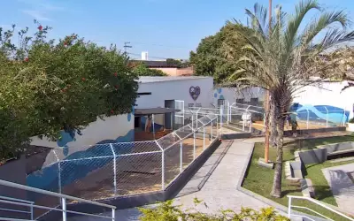 Hospital psiquiátrico Gedor Silveira encerra atividades após decisão judicial em MG