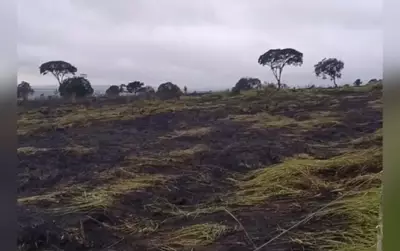 Incêndio atinge 4 hectares em Itaí e é extinto após duas horas de combate