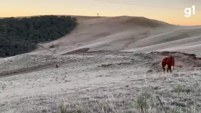 Inmet emite alerta de geada para terça-feira no Rio Grande do Sul