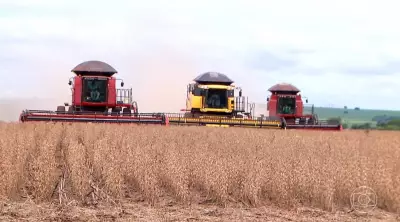 Mato Grosso bate recorde histórico de produção de soja na safra 2025/26