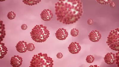 Norovírus vs Hantavírus: especialista explica diferenças entre os vírus