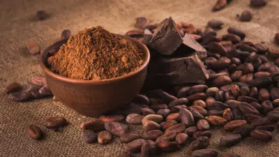 Nova lei define percentuais mínimos de cacau em chocolates no Brasil