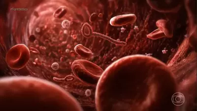 Novo surto de ebola na RDC preocupa comunidade internacional