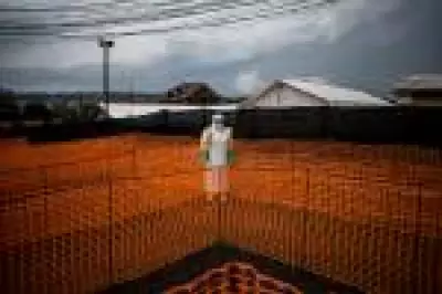 OMS declara emergência internacional por Ebola com cepa rara no Congo e Uganda