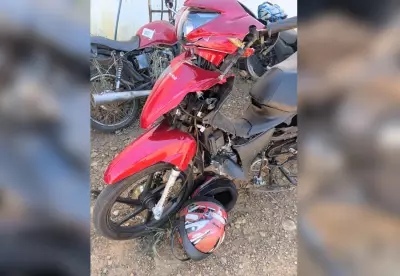 Pé humano encontrado na BR-010 pode ser de vítima de acidente