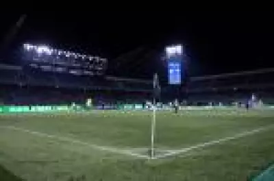 Palmeiras x Cruzeiro no Brasileirão: onde assistir, horário e escalações
