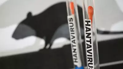 Paraná confirma dois casos de hantavírus sem relação com surto em cruzeiro