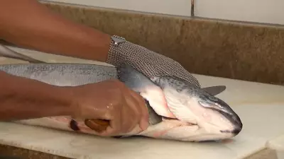 Peixe BR manifesta preocupação com medida da UE que afeta exportação
