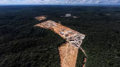 Perda global de florestas atinge 41 milhões de hectares em 10 anos
