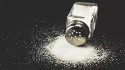 Por que desejamos tanto o sal? Entenda o papel do sódio no organismo e na culinária