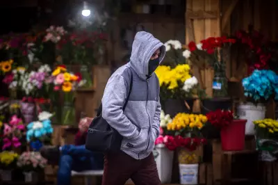Previsão do tempo: frio intenso no Sul e Sudeste; chuva forte no Norte e Nordeste