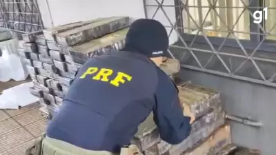 PRF apreende mais de 1 tonelada de maconha em caminhão de rações no RS