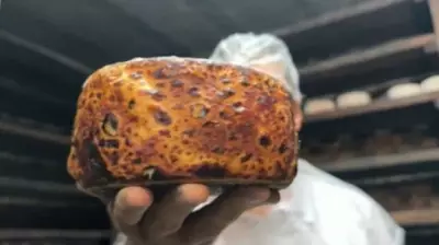 Produtor goiano inova ao maturar queijos artesanais em caverna subterrânea