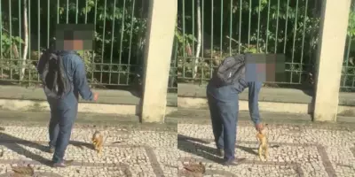 Semma alerta: alimentar animais silvestres pode causar doenças graves