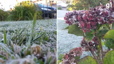 Vacaria registra -2,6°C pelo terceiro dia seguido no RS