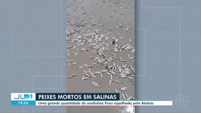 Vídeos JL2: Destaques do Pará neste sábado, 9 de maio de 2026