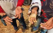 138 anos após Lei Áurea, trabalho escravo persiste no Brasil urbano e rural
