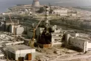 40 anos após Chernobyl: cães mutantes, javalis radioativos e fungo que come radiação