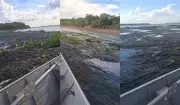 Acúmulo de algas no Rio Paraná prejudica turismo e navegação no Oeste Paulista