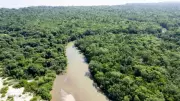 Acordo UE-Mercosul entra em vigor no Brasil: impactos no agro e Amazônia