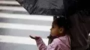 Agenda Verde: Sábado de chuva em São Paulo, prevê Climatempo