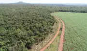 Assentamentos do Pontal do Paranapanema recebem R$ 7,3 mi para restauração