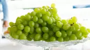 Bactérias ameaçam fruticultura no Vale do São Francisco; saiba como prevenir