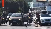 Biguá atravessa faixa de pedestres e motoristas param em Cabo Frio