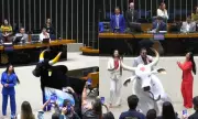 Bois Caprichoso e Garantido são homenageados na Câmara dos Deputados