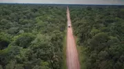 BR-319: desafios no escoamento da produção e integração da Amazônia