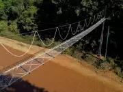 BR-319: reconstrução sem comprometer a floresta amazônica?