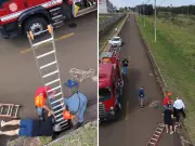 Cachorro Border collie resgatado de bueiro de 4 metros em São Carlos
