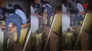 Cachorro é resgatado em telhado por policiais no Piauí